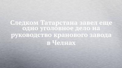 Следком Татарстана завел еще одно уголовное дело на руководство кранового завода в Челнах