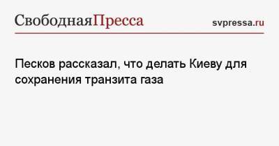 Песков рассказал, что делать Киеву для сохранения транзита газа