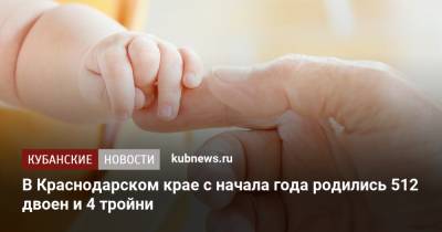 В Краснодарском крае с начала года родились 512 двоен и 4 тройни