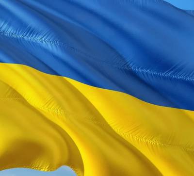 Украину могут лишить чемпионата Европы по ММА из-за отказа российским атлетам