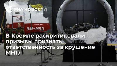В Кремле призывы признать ответственность за катастрофу MH17 назвали неуместными