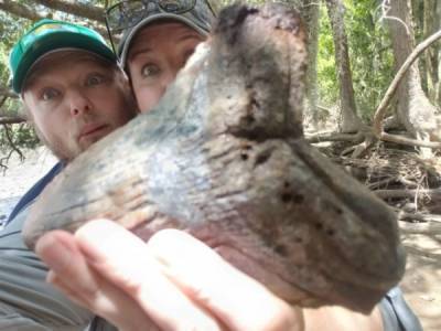 Пара из Южной Каролины нашла зуб мегалодона размером с ладонь