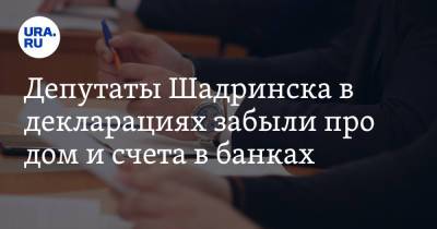 Депутаты Шадринска в декларациях забыли про дом и счета в банках