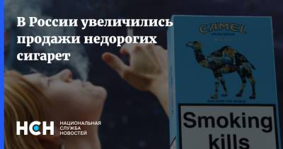 В России увеличились продажи недорогих сигарет