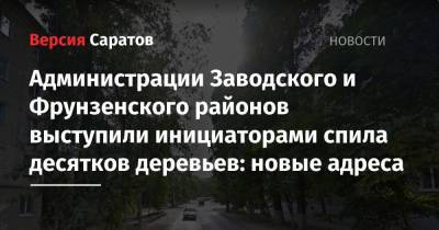 Администрации Заводского и Фрунзенского районов выступили инициаторами спила десятков деревьев: новые адреса