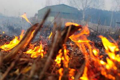 На этой неделе в Марий Эл восемь раз горела трава