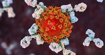Инфекционист Тимаков считает, что коронавирус останется навсегда