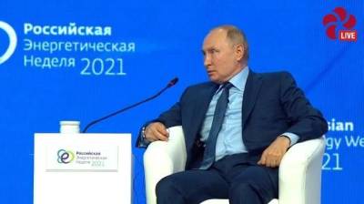 Россия по итогам 2021 года выйдет на серьезный рост ВВП - Путин