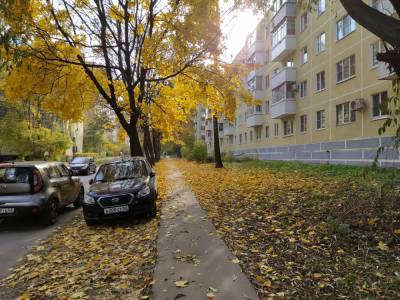 В Рязани начали работу по преобразованию улицы Пушкина