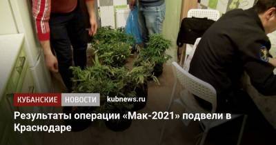 Результаты операции «Мак-2021» подвели в Краснодаре
