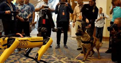 Робопсы Boston Dynamics вышли на прогулку - прохожие сняли реакцию настоящего пса (видео)