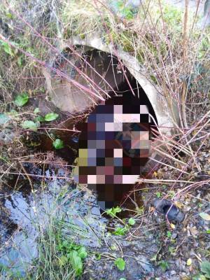 В Пупышево нашли тело мужчины в водосточной канаве