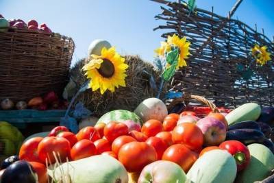В Астрахани проведут агрономический фестиваль 16 октября