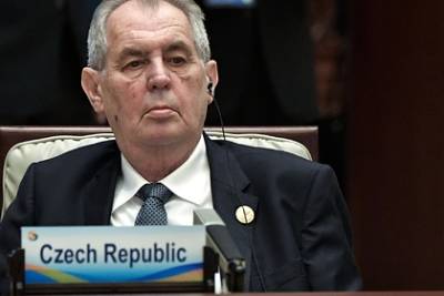 Сенат Чехии перераспределит полномочия президента