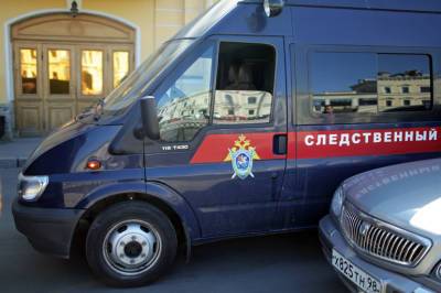 СК не увидел ничего преступного в заявлении на «ряженого» в петербургском избиркоме