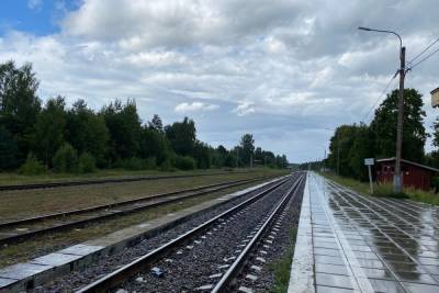 За девять месяцев на железной дороге в Тверской области погибли шесть человек