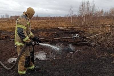 11 природных пожаров действуют в Свердловской области