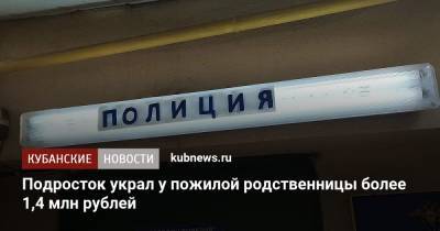 Подросток украл у пожилой родственницы более 1,4 млн рублей