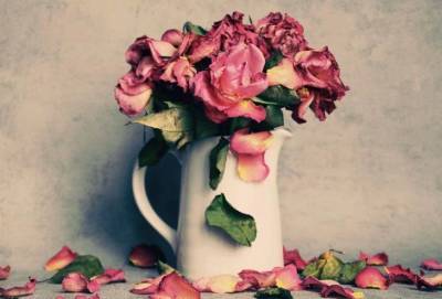 Как дольше сохранить розы в вазе с водой, чтобы стебли не гнили: секреты настоящей хозяйки