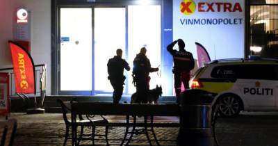 В Норвегии мужчина расстрелял нескольких человек из лука: копы говорят о теракте (фото)