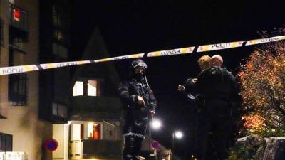 В Норвегии мужчина, вооруженный луком и стрелами, убил пять человек