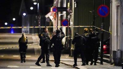 Нападение в Норвегии: злоумышленник расстрелял людей из лука
