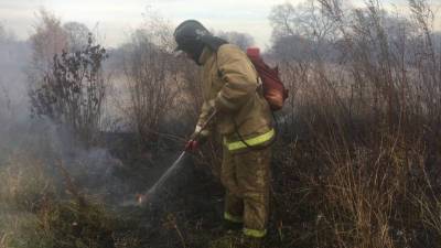 В России за сутки ликвидировали 17 природных пожаров