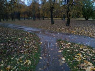 «Желтый» уровень опасности объявили в Москве на 14 октября из-за дождя