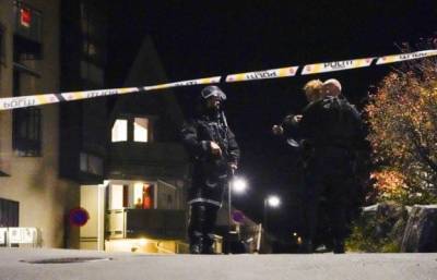 Полиция Норвегии сообщила подробности о преступнике, убившем 5 человек из лука