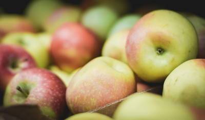 Опасные яблоки обнаружили у пассажира в аэропорту Уфы