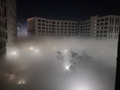 Екатеринбург заволокло дымом из-за тлеющего на юге города торфа