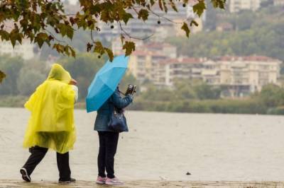 Дождь и до 11 градусов тепла ожидаются в Москве 14 октября