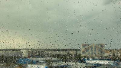 Облачно и дожди: синоптики рассказали о погоде в Москве в четверг