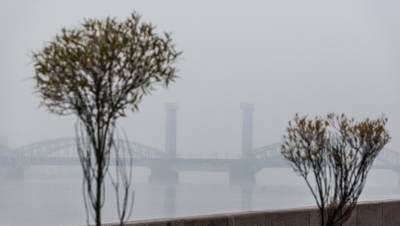 МЧС предупредило жителей Петербурга об утреннем тумане 14 октября