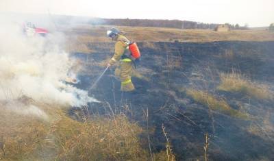 Пожарные спасли село от надвигавшегося огня