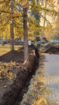 В Челябинске рабочие повредили деревья в сквере на улице Кирова