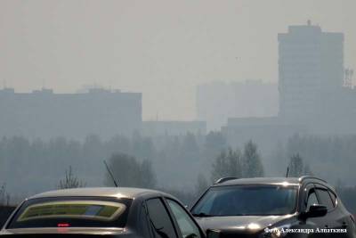 Два участка трассы Екатеринбург — Шадринск — Курган перекрыты из-за смога