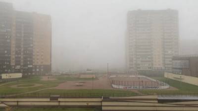 Плотный туман окутал Петербург утром в четверг