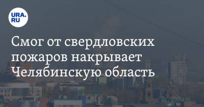 Смог от свердловских пожаров накрывает Челябинскую область. Фото