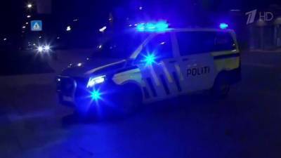 В Норвегии мужчина убил пятерых и ранил двоих из лука
