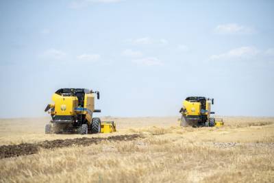 Казахстан возобновил поставки зерна и муки в Афганистан
