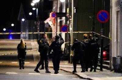 В Норвегии, вооруженный луком и стрелами мужчина убил 5 человек, есть раненые