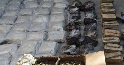В Душанбе изъято около 500 кг наркотиков на сумму $6 млн.