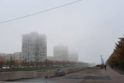 Петербуржцы поделились фотографиями утреннего тумана