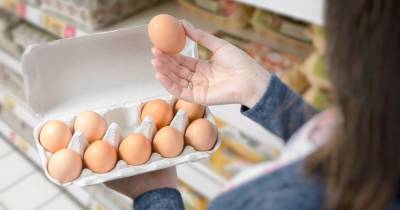 Больше не значит лучше: почему специалисты не берут яйца категории С0