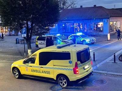 Вооруженный луком и стрелами мужчина расстрелял пять человек в Норвегии