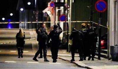 В Норвегии пять человек стали жертвами датчанина, открывшего стрельбу из лука