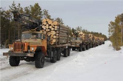 Тюменский суд приговорил курганца к условному сроку за контрабанду леса на почти ₽14 млн