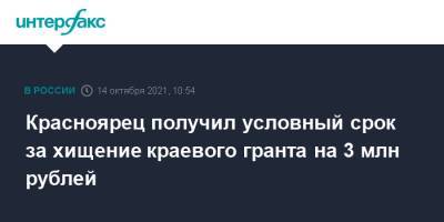 Красноярец получил условный срок за хищение краевого гранта на 3 млн рублей