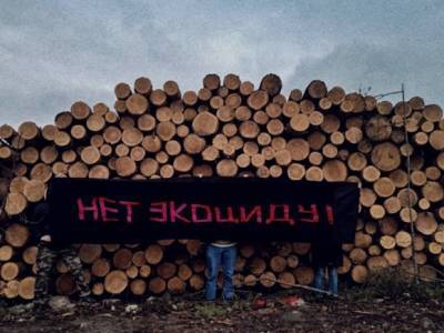 Петербургские активисты попросили Путина спасти лес и Финский залив